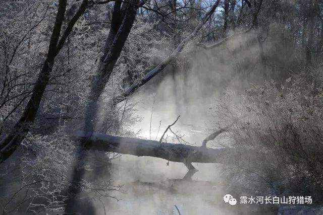 入睡慢，一闭眼就胡思乱想，要怎么办？