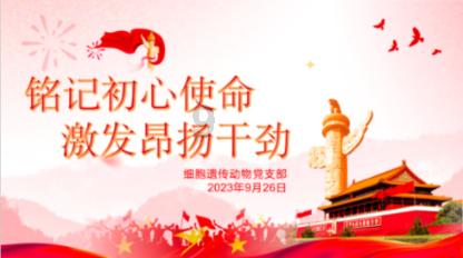 有图有真相!江都这条非机动车道年前绽放新“颜值”!